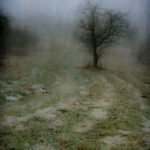 Winter Path, photograph, Bernie Kubiak