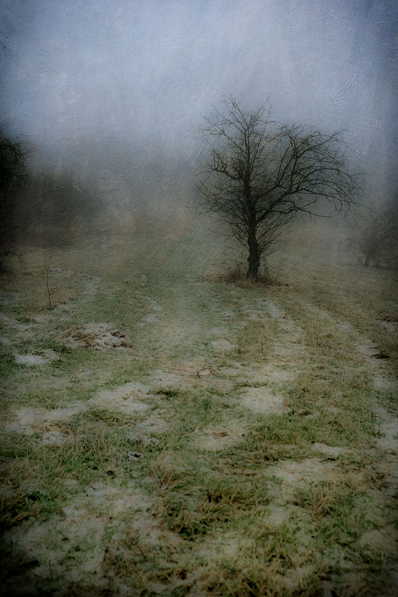 Winter Path, photograph, Bernie Kubiak